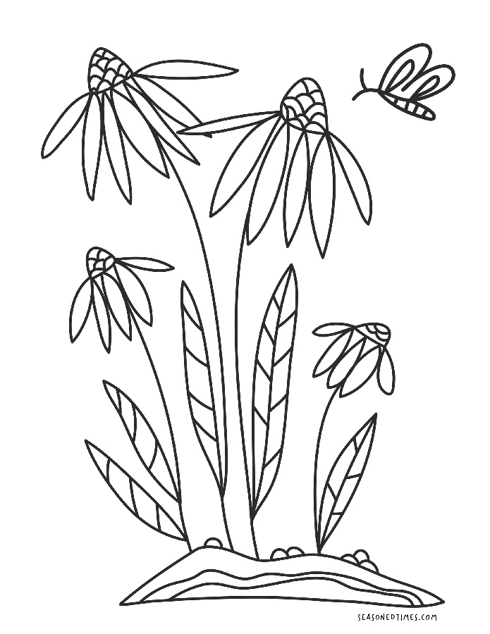 CPFlowers1120