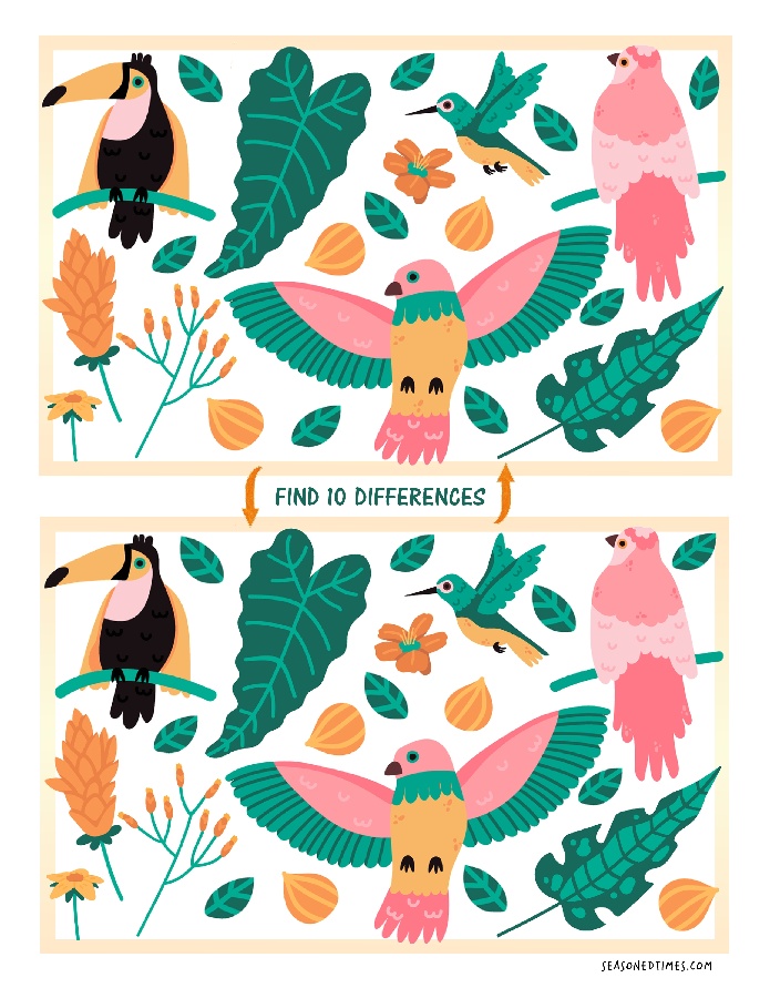 FindDiffTropical321