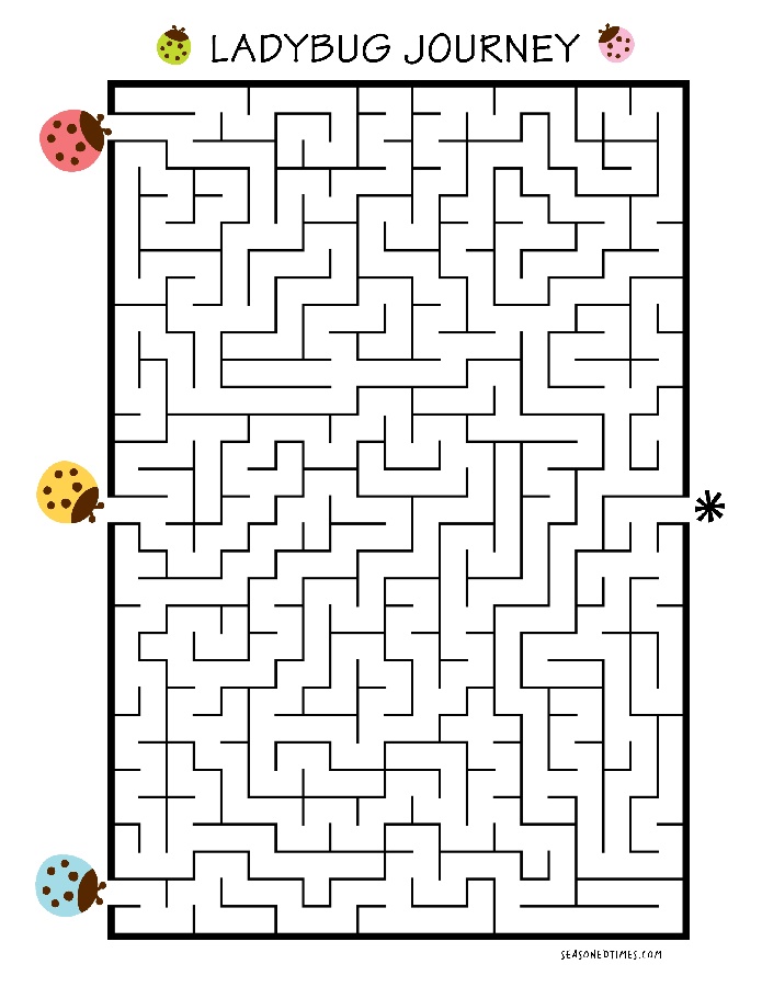LBMaze321