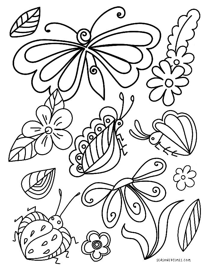 InsectsColoring421