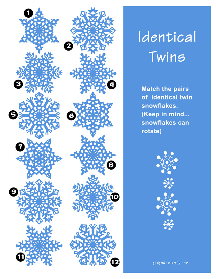 TwinSnowflakes1221