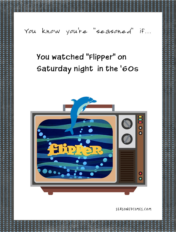 SIFlipper522