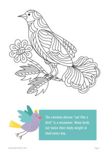 BirdBk_1
