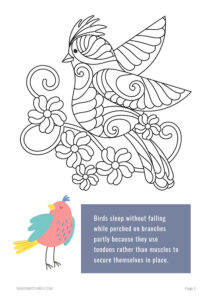 BirdBk_2