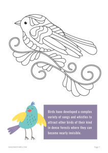 BirdBk_7