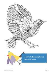 BirdBk_8