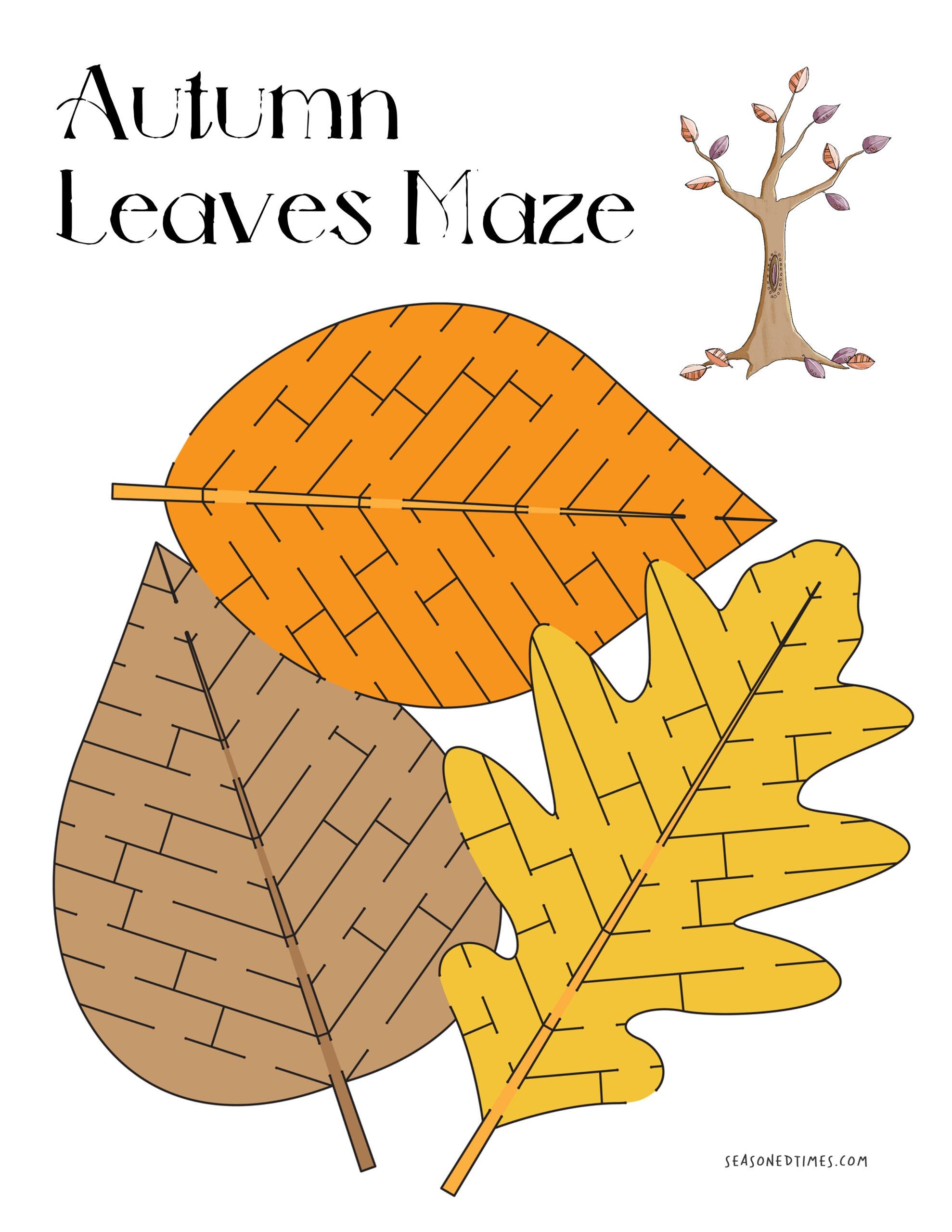 PPAutumnMaze922