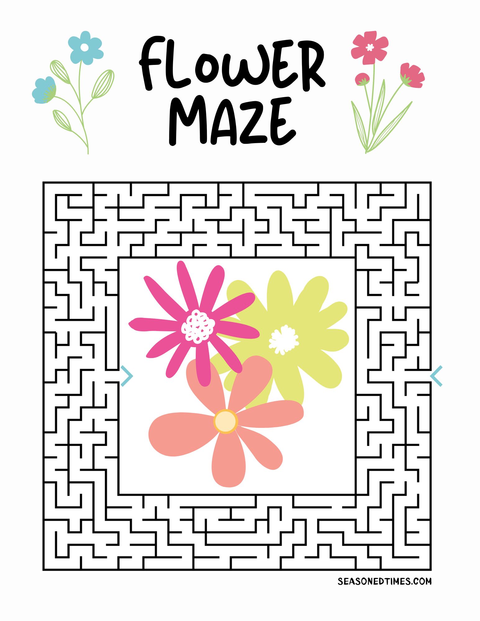 Maze-523