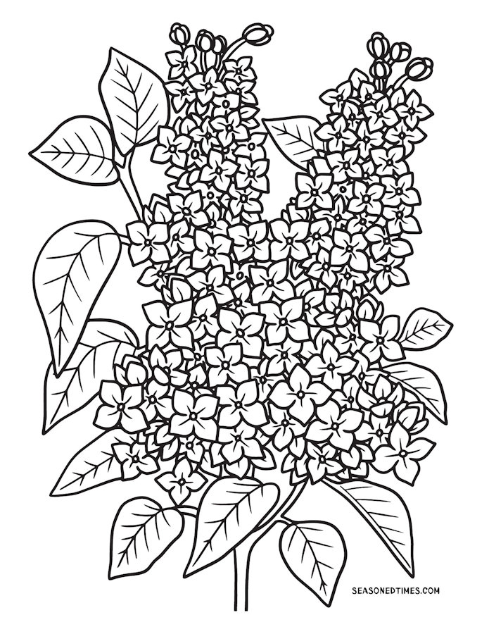ColoringFlowers224