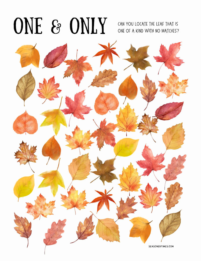 OneOnlyLeaf25